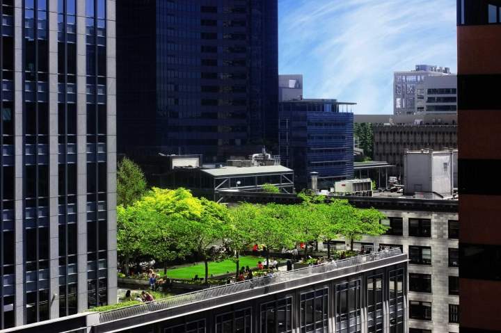 Une belle terrasse végétalisée avec des plantes matures, un cheminement et un espace de détente