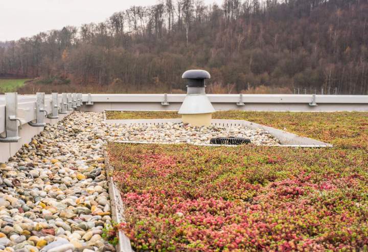 Conception et réalisation d'espaces verts sur toit